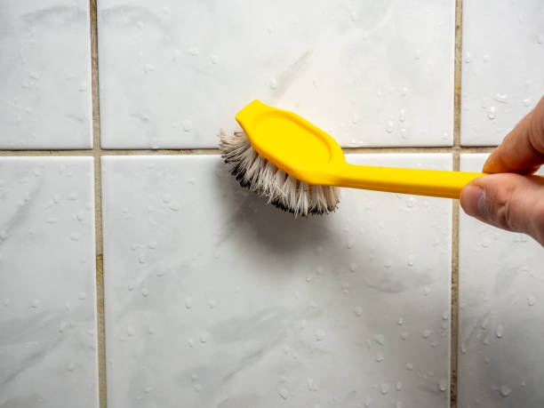 Best Mold Removal Near Me  in White River Junction, VT