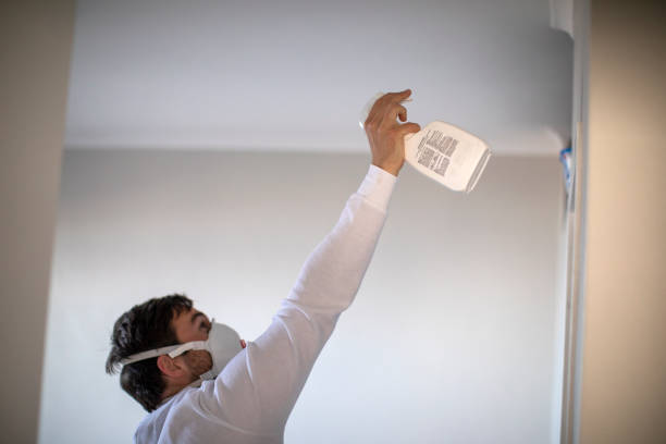 Best Toxic Mold Removal  in White River Junction, VT